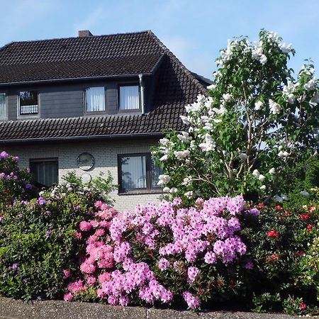 Haus Wiesel Bispingen Exteriér fotografie